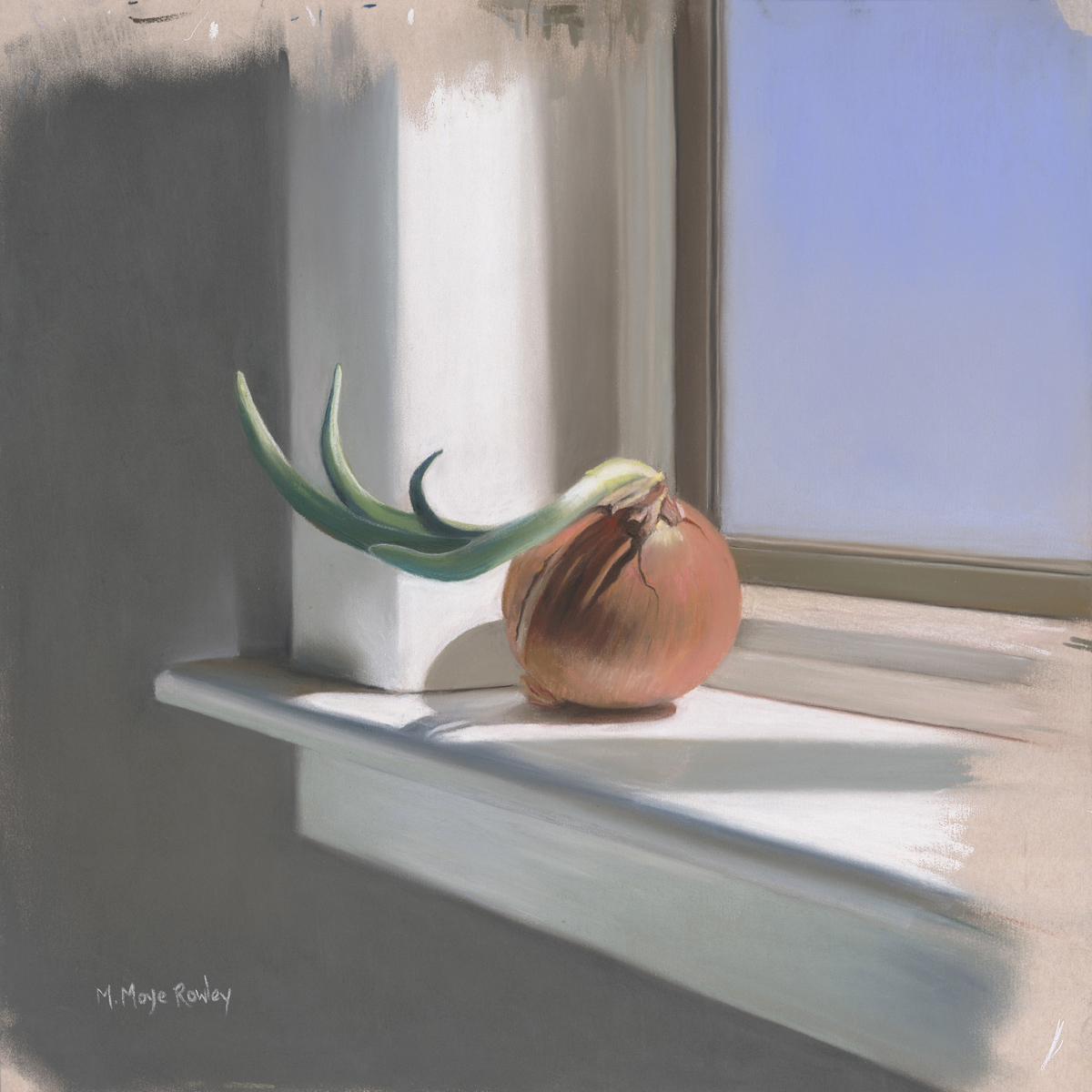 View from the Windowsill